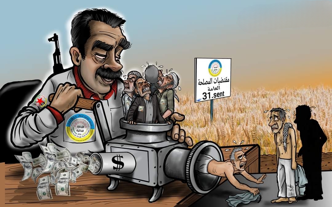 سياسة التجويع على خطى نظام الأسد.. قـ ـسد تحدد سعر القمح لسرقته من المزارعين في مناطق سيطرتها