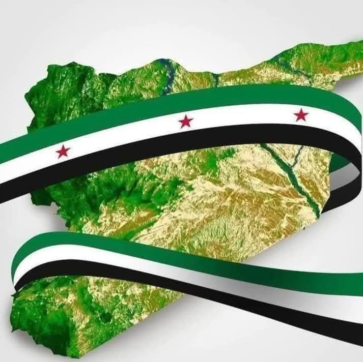 مسودة الإعلان الدستوري في الجمهورية العربية السورية على ماذا تنص مواد الدتستور؟