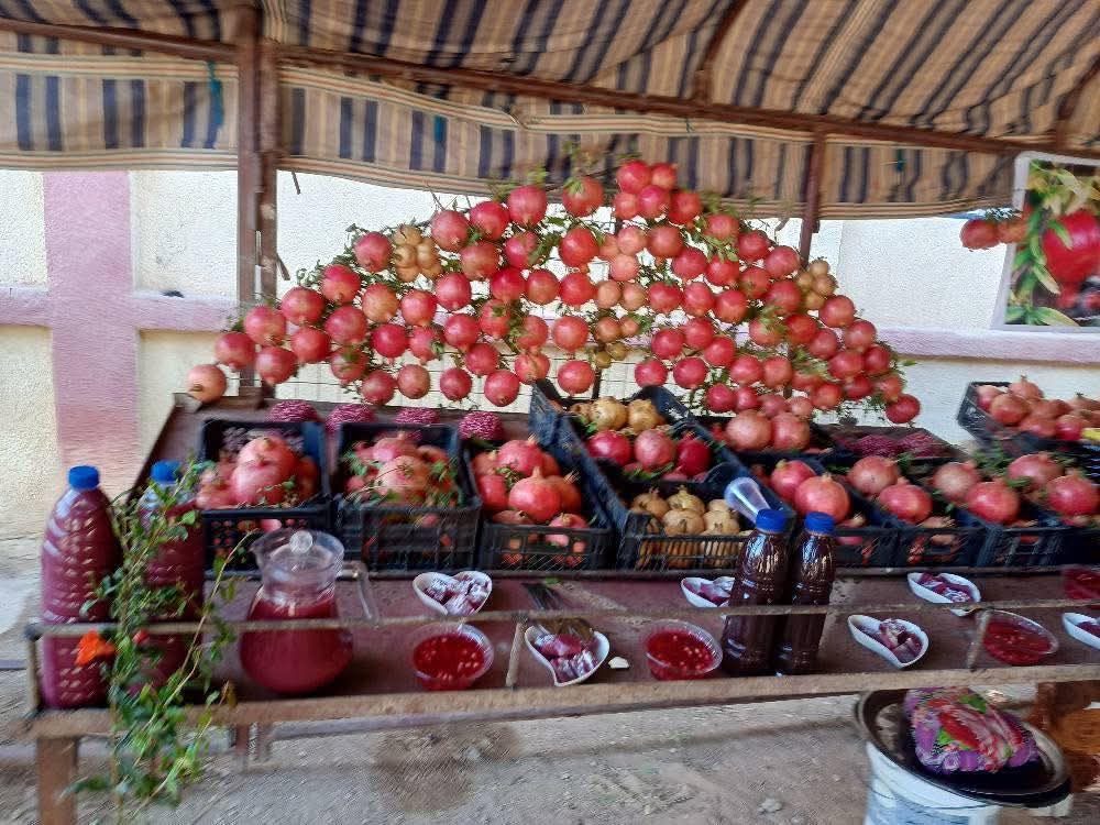 رمان السوسة بين العصر والسياسة